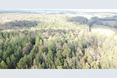 0-Tr 5 County Rd 408, Heflin, AL 36264 - Photo 1