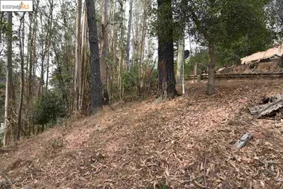 6050 Balboa Dr, Oakland, CA 94611 - Photo 4