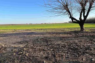 1290 Orange Ave, Patterson, CA 95363 - Photo 20