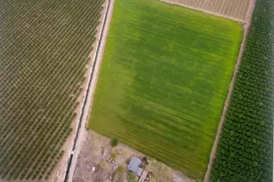 1290 Orange Ave, Patterson, CA 95363 - Photo 2