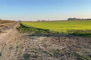 1290 Orange Ave, Patterson, CA 95363 - Photo 24