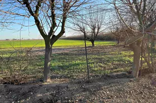 1290 Orange Ave, Patterson, CA 95363 - Photo 18