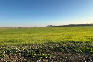 1290 Orange Ave, Patterson, CA 95363 - Photo 34