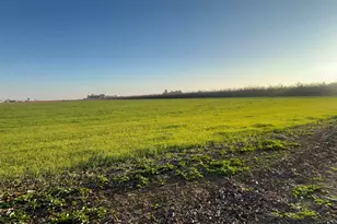 1290 Orange Ave, Patterson, CA 95363 - Photo 34