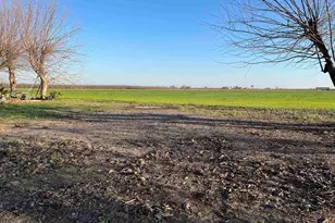 1290 Orange Ave, Patterson, CA 95363 - Photo 22