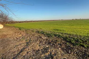1290 Orange Ave, Patterson, CA 95363 - Photo 26