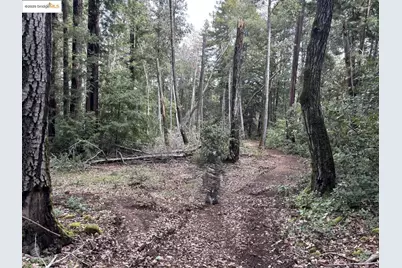 0 Croy Rd, Morgan Hill, CA 95037 - Photo 10