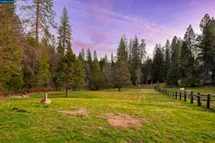 11417 Red Dog Rd, Nevada City, CA 95959 - Photo 48