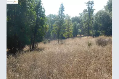 20556 Columbia Way, Sonora, CA 95370 - Photo 6