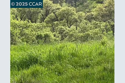 6 Frenchbar Rd, La Grange, CA 95329 - Photo 6