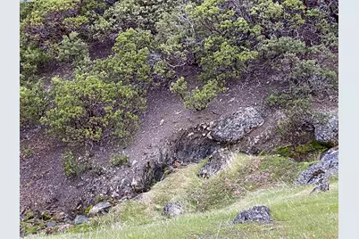 53700 Iron Creek Road, Laytonville, CA 95454 - Photo 10