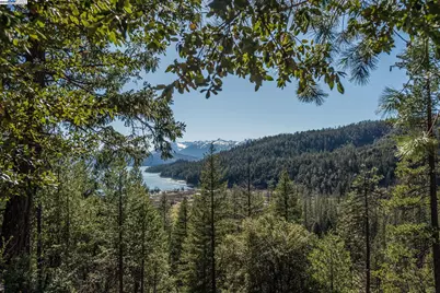 8341 East Side Rd, Trinity Center, CA 96091 - Photo 52