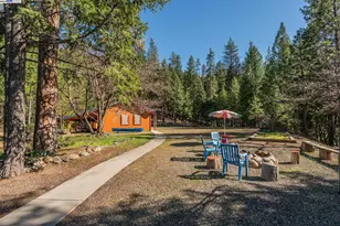 8341 East Side Rd, Trinity Center, CA 96091 - Photo 54