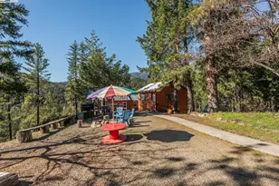 8341 East Side Rd, Trinity Center, CA 96091 - Photo 56