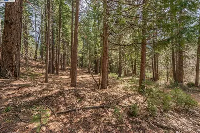 121 Mountain Aire Ln, Trinity Center, CA 96091 - Photo 50