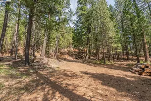 121 Mountain Aire Ln, Trinity Center, CA 96091 - Photo 42