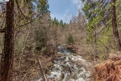 121 Mountain Aire Ln, Trinity Center, CA 96091 - Photo 38