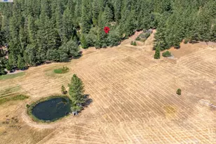 23875 Marshall Way, Twain Harte, CA 95383 - Photo 36