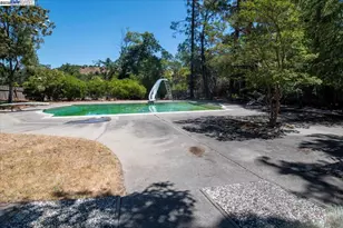 196 Crest Ave, Alamo, CA 94507 - Photo 22