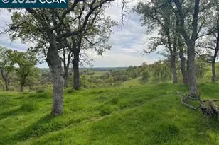 14 Frenchbar Rd, La Grange, CA 95359 - Photo 1