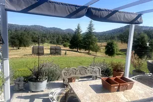 16 Paul Pl, Bangor, CA 95914 - Photo 6