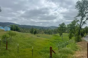 16 Paul Pl, Bangor, CA 95914 - Photo 44