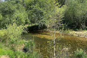 16 Paul Pl, Bangor, CA 95914 - Photo 46