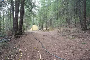 4990 Indian Creek Rd, Douglas City, CA 96024 - Photo 20