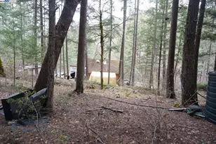 4990 Indian Creek Rd, Douglas City, CA 96024 - Photo 26