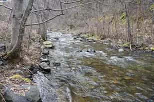 4990 Indian Creek Rd, Douglas City, CA 96024 - Photo 2