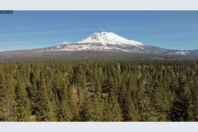 1324 Alves Dr, Weed, CA 96094 - Photo 48