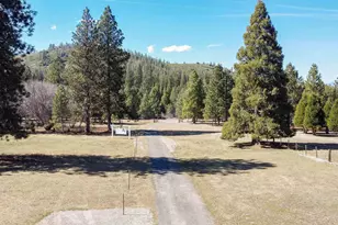 1324 Alves Dr, Weed, CA 96094 - Photo 60