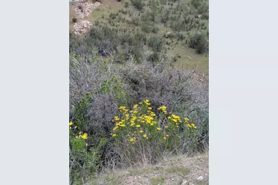 11821 Del Puerto Canyon Rd, Livermore, CA 94550 - Photo 34