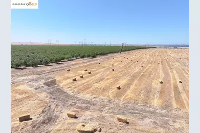 Byron Hwy, Byron, CA 94514 - Photo 4