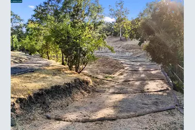 221 Dean Rd, Alamo, CA 94507 - Photo 18