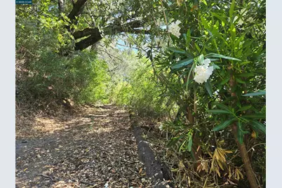 100 Black Log Rd, Kentfield, CA 94904 - Photo 24