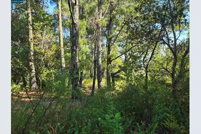 100 Black Log Rd, Kentfield, CA 94904 - Photo 6