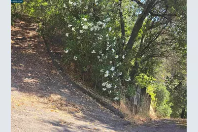 100 Black Log Rd, Kentfield, CA 94904 - Photo 4