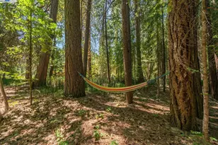 30 Dorleska Ct, Trinity Center, CA 96091 - Photo 46