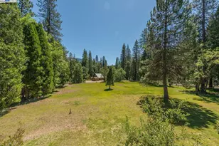 30 Dorleska Ct, Trinity Center, CA 96091 - Photo 30