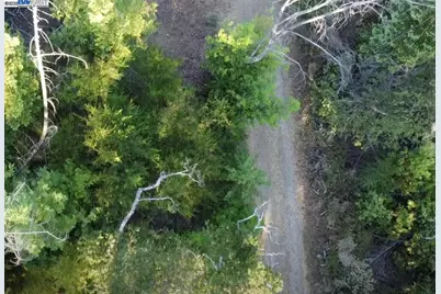 [Address not provided], Boulder Creek, CA 95006 - Photo 1