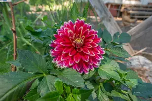 100 Wonder Stamp Ln, Big Bar, CA 96010 - Photo 50