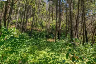 100 Wonder Stamp Ln, Big Bar, CA 96010 - Photo 46