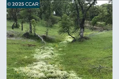 5098 Cantle Road, Copperopolis, CA 95228 - Photo 8