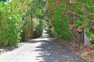 421 Twin Oaks Ln, Walnut Creek, CA 94596 - Photo 60