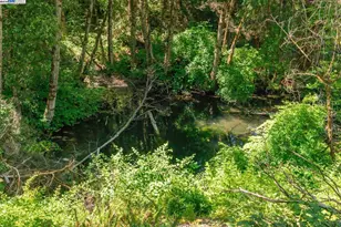 1004 Friedrich Rd, Burnt Ranch, CA 95527 - Photo 4