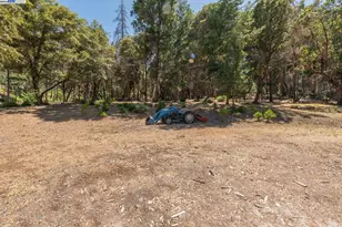 1004 Friedrich Rd, Burnt Ranch, CA 95527 - Photo 28