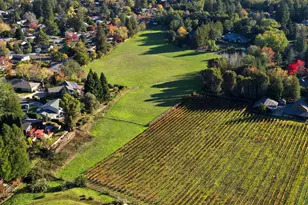 1015 Borrette Ct, Napa, CA 94558 - Photo 16