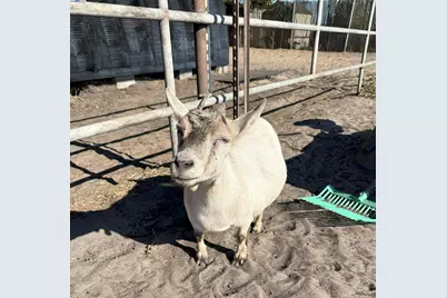 6943 Piper Rd, Bethel Island, CA 94511 - Photo 30