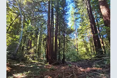 Lot26 Old La Honda Rd, Woodside, CA 94062 - Photo 6